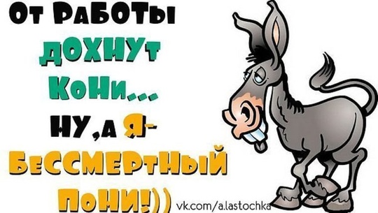 Новый сотрудник..