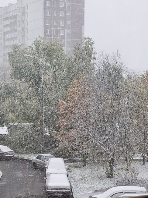 ❄Когда синоптики сообщили, что менять резину ещё рано, я был приятно удивлён.  Спасибо за фото! Вы..