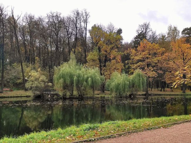 🍃Яркие осенние оттенки в красногорском городском парке.  📸Автор фото: Вячеслав..