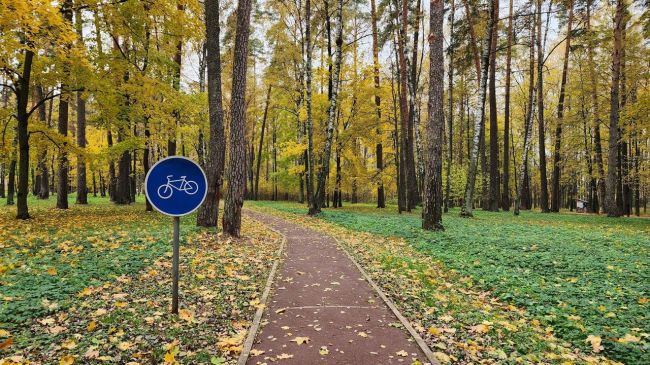 Парк приглашает на прогулку, можно даже на велосипеде😎  «У нас две велодорожки: это большой круг и малый. Их..