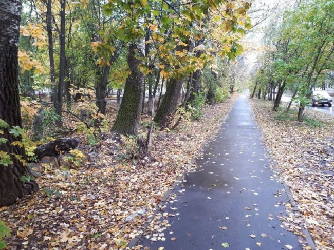 Электросталь, улица Пушкина, 32 
Зелёная зона вдоль тротуара (с обеих сторон от тротуара, от тротуара и до..