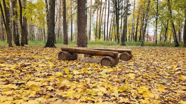 Парк приглашает на прогулку, можно даже на велосипеде😎  «У нас две велодорожки: это большой круг и малый. Их..