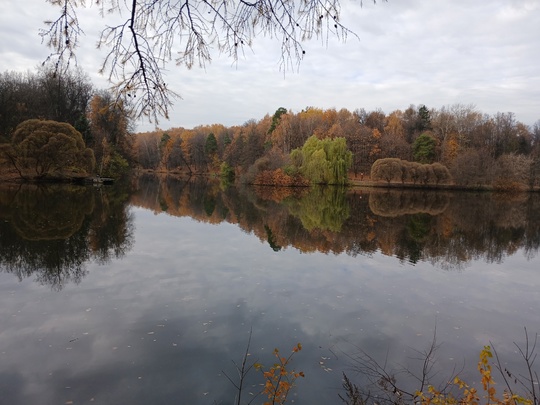 Золотая осень в Царицыно. 
Фото:..