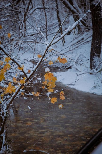 Снег в Расторгуево🥶 
Фото:..