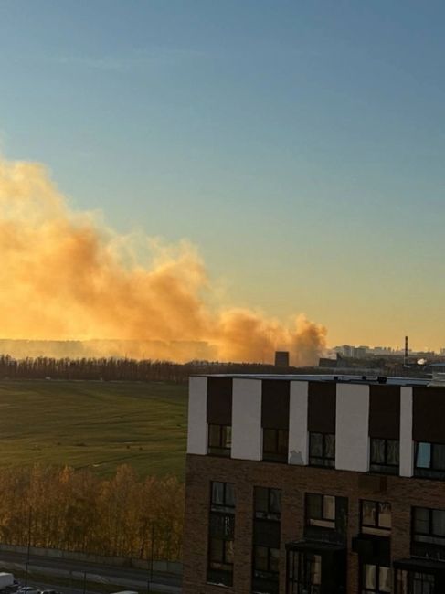 На Москоксе снова был дым  Кажется, горят факелы дожига газа, что означает перебои в работе газодувных..