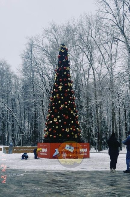 Ёлочка в парке Толстого готова..