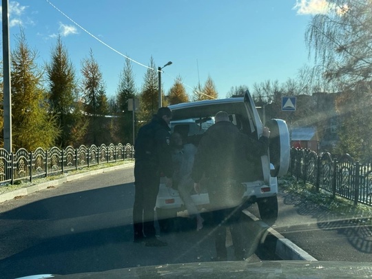 В Сергиевом Посаде, мкрн Ферма, в районе ГДО ходит мужчина с предметом, похожим на ружье, на место приехали..