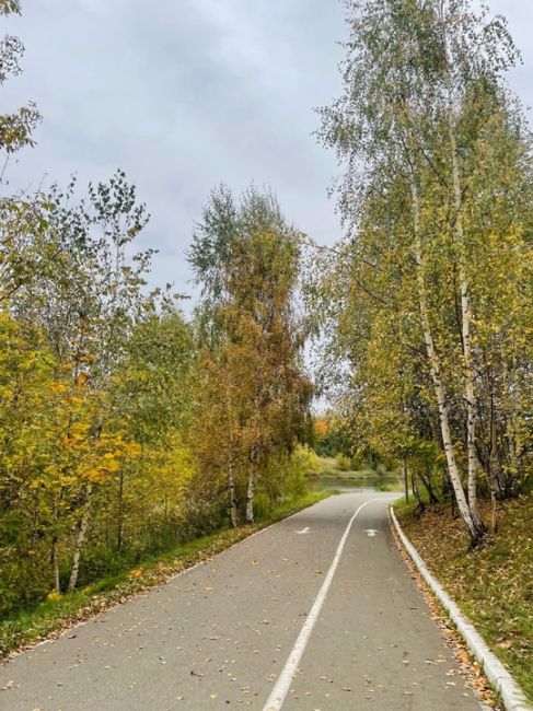 Город великолепен в этих осенних красках) 🌾🍁🍂  📸 Алёна..