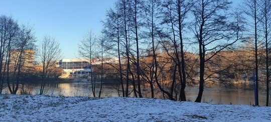 Парк Дубрава, Петрица в..