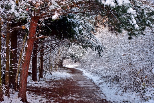 ЗИМНЯЯ СКАЗКА ❄
Фото Кирилл Островский /..