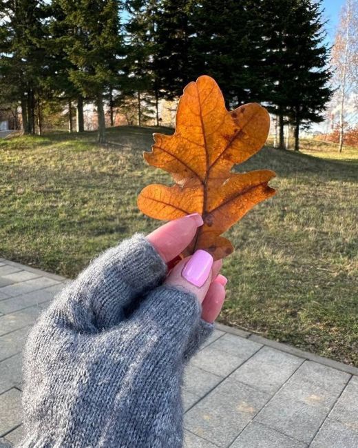 🍁Прогулка по Митинском парку  Вам нравится..