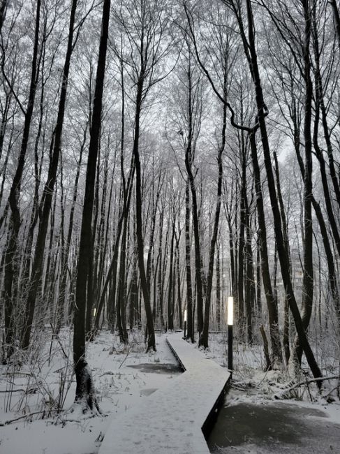 ЗИМА ВСË БЛИЖЕ ☃
📸 Оксана
Поделюсь нашей красотой. Парк..