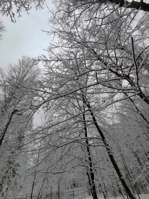 ❄Ваши великолепные снимки, сделанные на фоне снега  Для отправки фотографий используйте комментарии под..