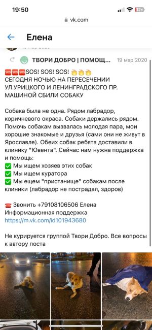 На ул.Бабушкина 26/6 в Сергиевом Посаде собаку только что сбила машина, она лежит не двигается, скорее всего..