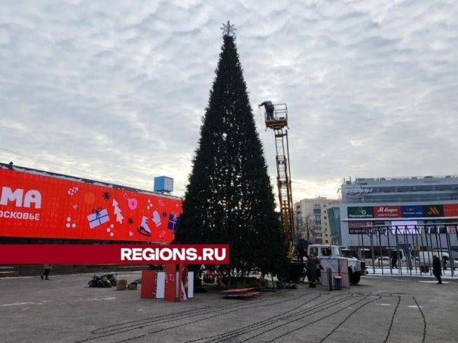 В Ивантеевке на Первомайской площади заканчиваются работы по установке новогодней елки.  Фото: Ольга..