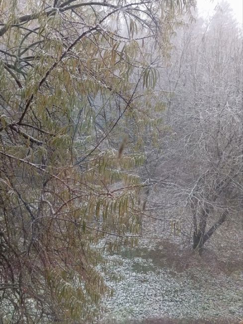 Небывалое количество осадков выпало в Москве за минувшие сутки ❄️  Об этом сообщил ведущий специалист..