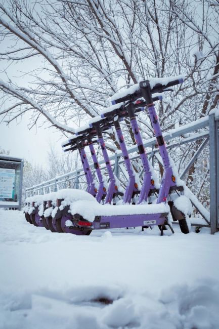 Снег в Расторгуево🥶 
Фото:..