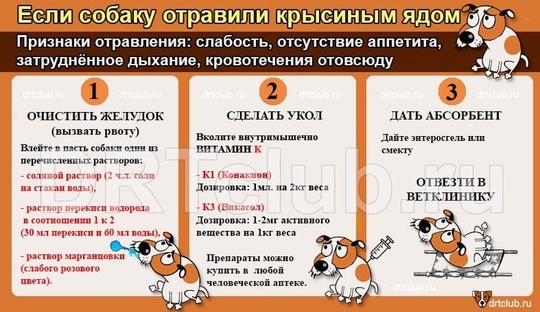 Подольск
! Пострадало уже 10 собак !  Разыскиваются владельцы отправленных собак мкр Кузнечики, Подольские..