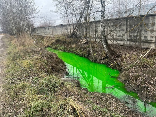 В Кузнецово под Раменским местные жители заметили канал с кислотно-зеленой водой...  «Кислотную реку» в..