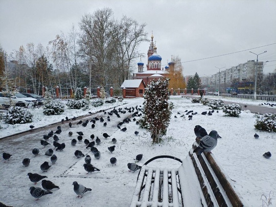 Доброе утро, город!  📸Наталья..