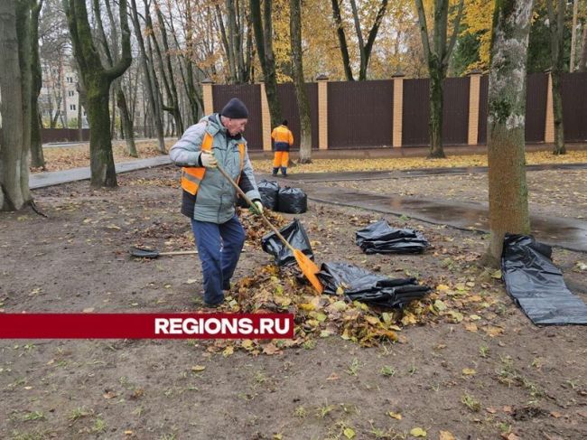 Скверы и общественные зоны в Пушкино начали подготовку к зимнему сезону.  Сотрудники МКУ «Пушгорхоз»..