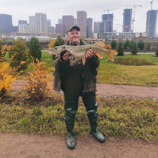 🎣 Вот такой улов из..