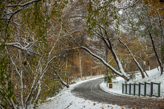 Алексей Гречушников  Немного снежного парка 🌨
город..