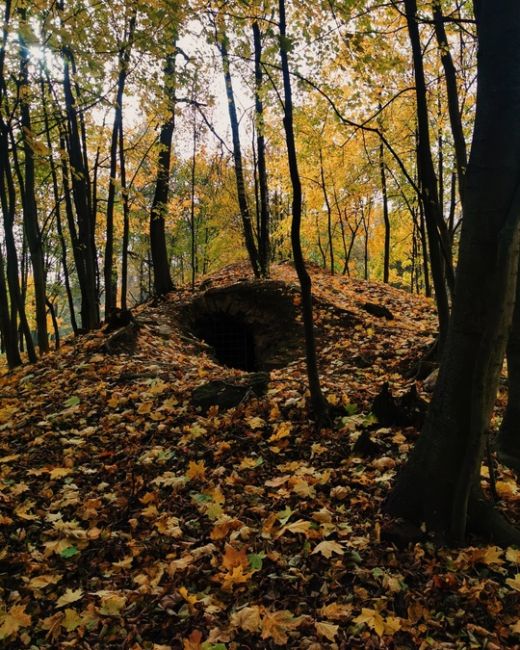 Очарование осени в усадьбе Горенки...