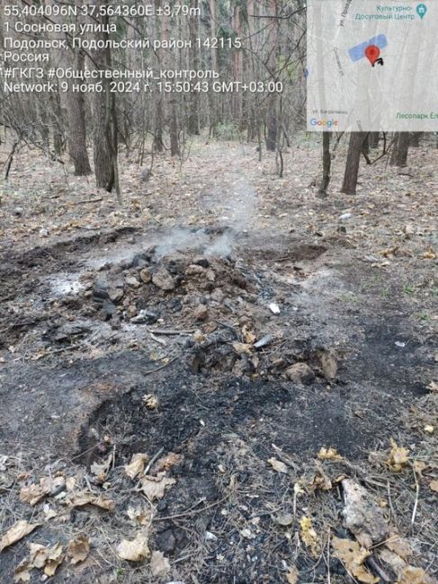 12 неконтролируемых костров сегодня разожгли и ушли из леса в лесопарке "Ёлочки". В итоге пришлось даже..