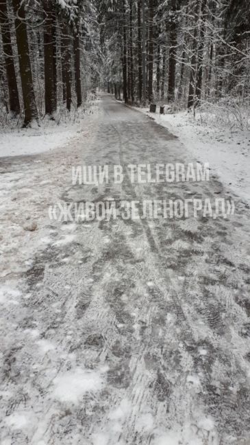 ⛸В первом и третьем микрорайонах парк был очищен до идеального состояния.  Тем, кто не умеет кататься на..