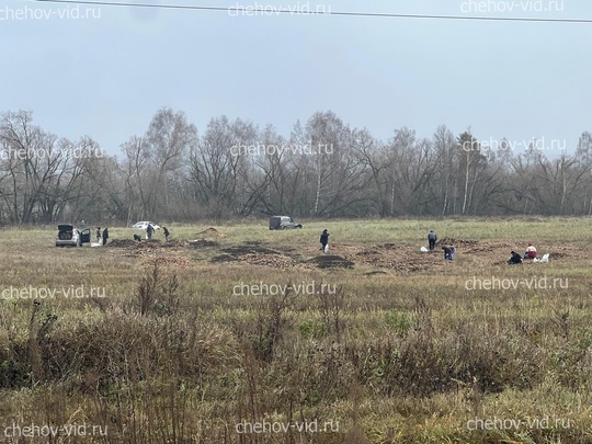 После нашей громкой публикации о тоннах овощей, оставленных прямо на поле, жители массово поехали на сбор..