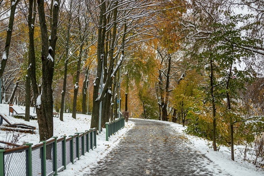 Алексей Гречушников  Немного снежного парка 🌨
город..