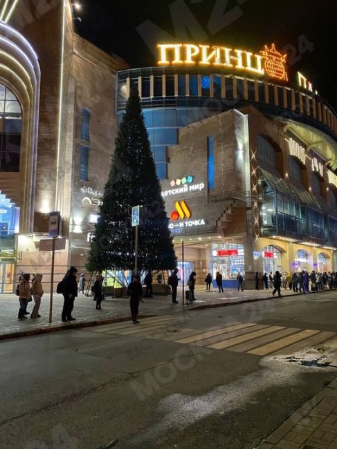 Еще одну ёлочку обнаружили в Москве.  Она обосновалась на "Теплом..