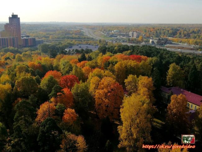 Подборка осенних фотографий прошлых лет 🍂  Источник: [club154904864|Город Видное в фотографиях наших..