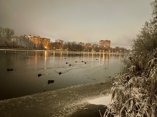 28.11.24 шикарный вечер в..