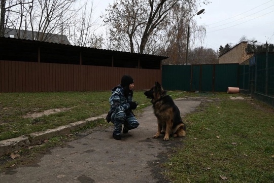 🦮Среди стражей правопорядка не только следователи, оперативники, участковые и патрульные, но и..