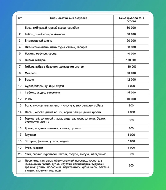 На Рублёво-Успенском шоссе, в районе Усово, сбили кабана 😱  Как он сюда вышел - загадка: кругом частный..