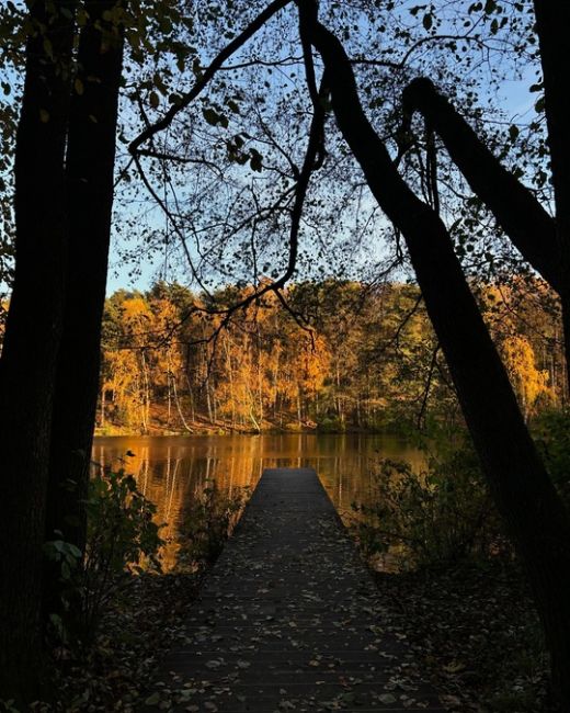 Пехорка Парк 🍁😍
📸Kate..