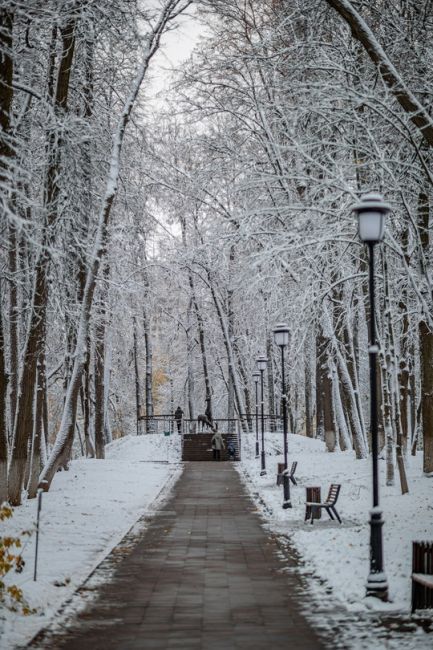 Алексей Гречушников  Немного снежного парка 🌨
город..