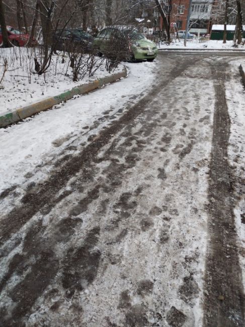 В целом, этой зимой можно обойтись и без катков, они и так в шаговой доступности 😁  Барашкинский..