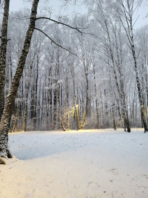 ЗИМА ВСË БЛИЖЕ ☃
📸 Оксана
Поделюсь нашей красотой. Парк..