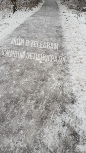 ⛸В первом и третьем микрорайонах дорожки в парке сияют чистотой, как зеркало.  Если у вас нет коньков, лучше..