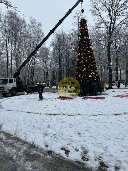 Праздник к нам приходит! В парке Толстого устанавливают новогоднюю ёлку..