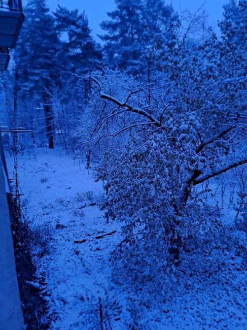 Доброе снежное утро! ☃❄ 
Пора ставить..