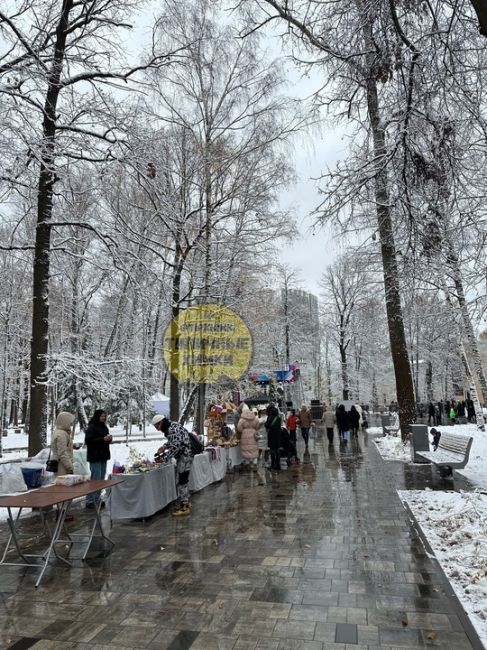 Тем временем, в парке Толстого проходят праздничные гуляния по случаю праздника..