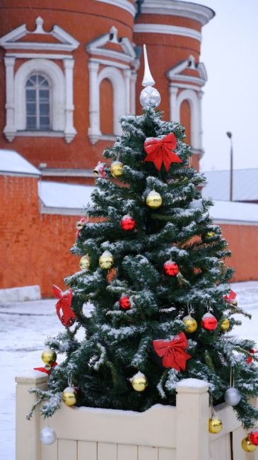 🎄🌟❄ В Коломне вовсю идет подготовка к встрече Нового года-2025. Украшенные елочки уже появились в разных..