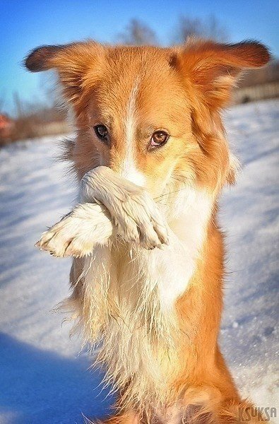 Новый год совсем близко..