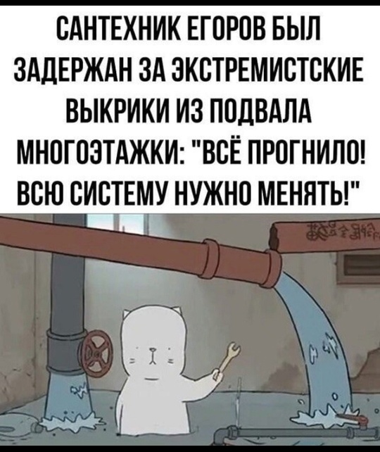 Сегодня 15.11 посетила поликлинику на ул. Павлова. Обычный рабочий день, не выходной, не праздник. То, что в..