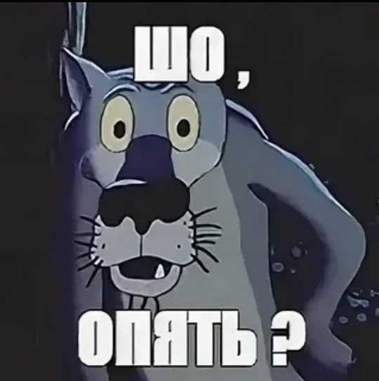 В Московской области подорожает проезд в общественном транспорте  Не успели жители Подмосковья привыкнуть..