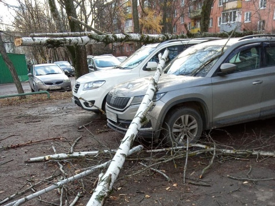 🚜 Последствия ураганного ветра в Коломне устраняют бригады ДГХ  Ураганный ветер, прошедший ночью по..